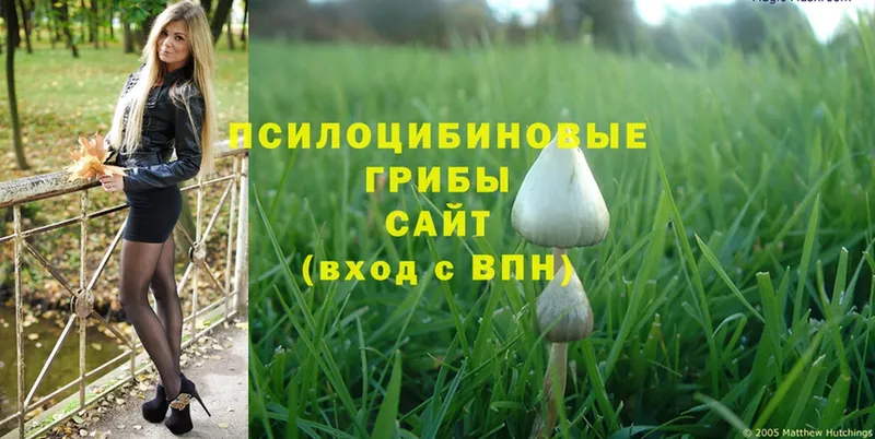 Галлюциногенные грибы MAGIC MUSHROOMS  Лесозаводск 